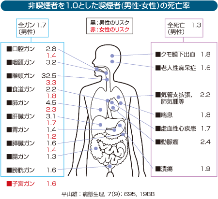 非喫煙者を1.0とした喫煙者(男性・女性）の死亡率