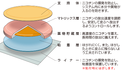 ニコチネルパッチの構造