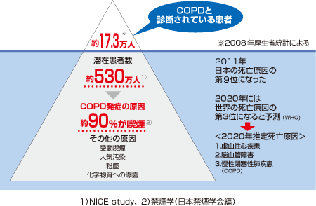 非喫煙者を1.0とした喫煙者(男性・女性）の死亡率