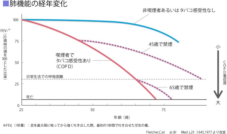 肺機能の経年変化