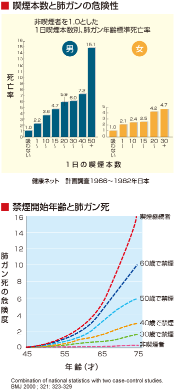 非喫煙者を1.0とした喫煙者(男性・女性）の死亡率