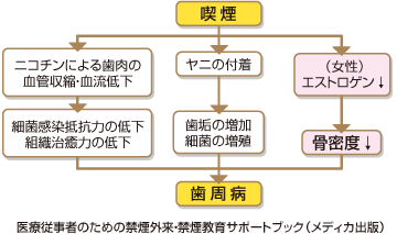 喫煙から歯周病までの図